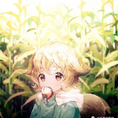 最美逆行者司机被裁